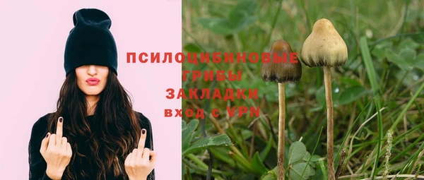 кокаин Богородицк