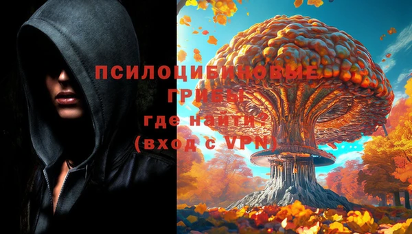 кокаин Богородицк