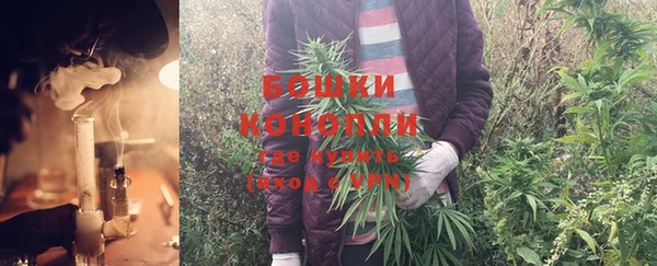 а пвп мука Богданович