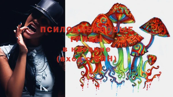 кокаин Богородицк