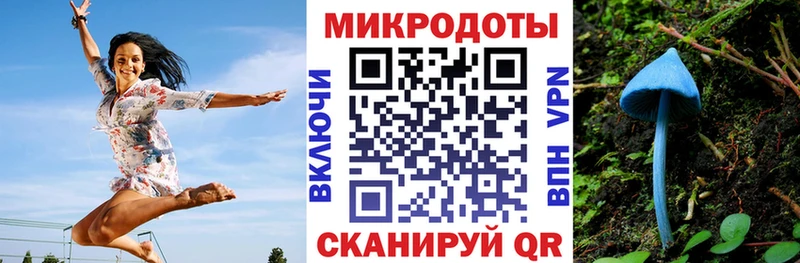 как найти   Ильский  Галлюциногенные грибы мицелий 